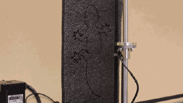 images/0/2019/02/uJ6u5P5JBqlzCebr0qLi0JgPj629j6.gif