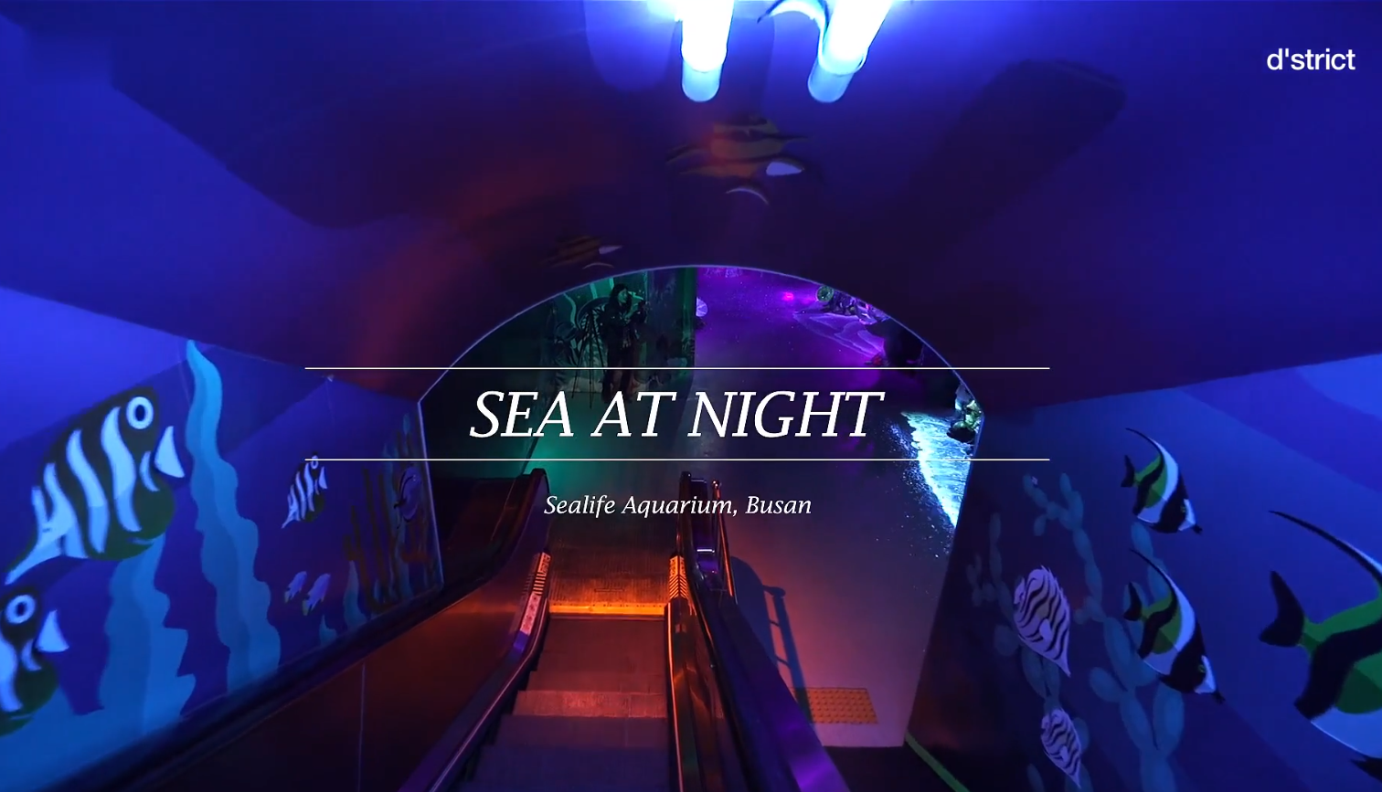 韓國(guó)釜山Sealife海洋館_新媒體互動(dòng)方案--智能電影、沉浸式媒體、水箱投影、3D動(dòng)畫(huà)電影