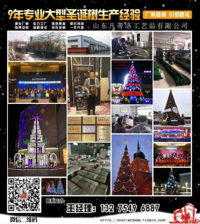 山東，圣誕樹，圣誕節(jié)，節(jié)日道具
