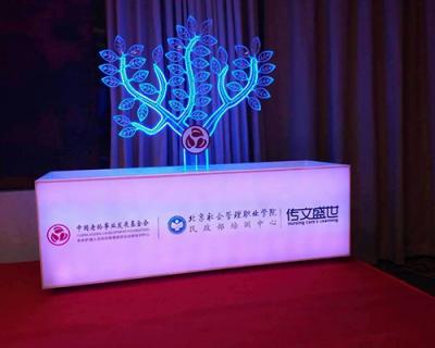 北京發(fā)光生命樹