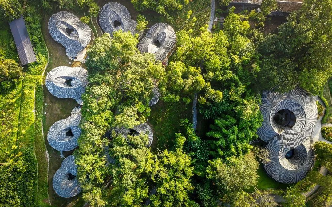 成都 | 非遺竹編、竹林大秀，藏匿在竹林里的地標(biāo)性藝術(shù)空間，盡顯詩(shī)意~